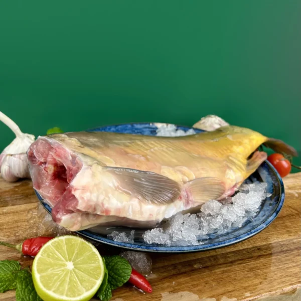 Karp tusza